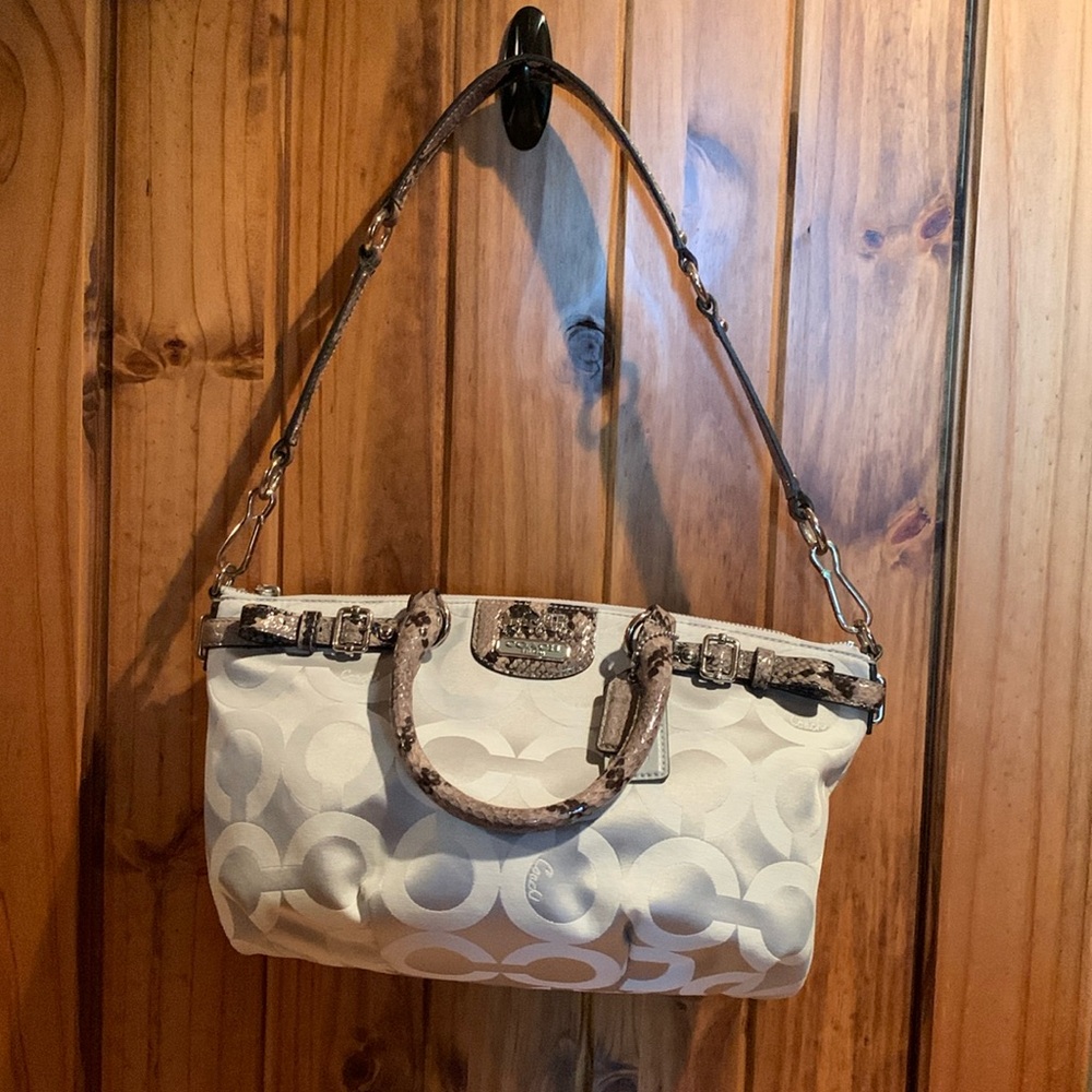 Coach Bag Gray/Snake Skin Bag